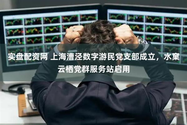 实盘配资网 上海漕泾数字游民党支部成立，水窠云栖党群服务站启用