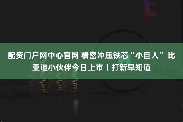 配资门户网中心官网 精密冲压铁芯“小巨人” 比亚迪小伙伴今日上市丨打新早知道
