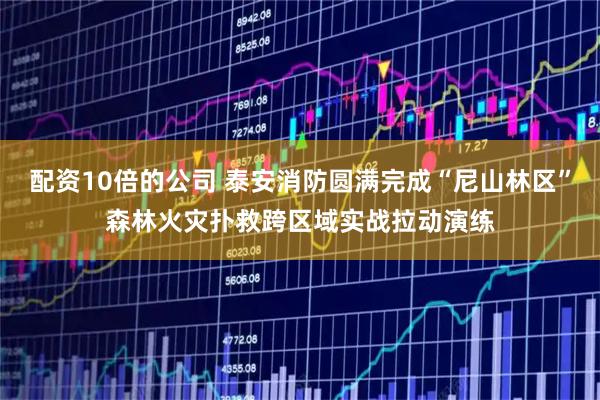 配资10倍的公司 泰安消防圆满完成“尼山林区”森林火灾扑救跨区域实战拉动演练