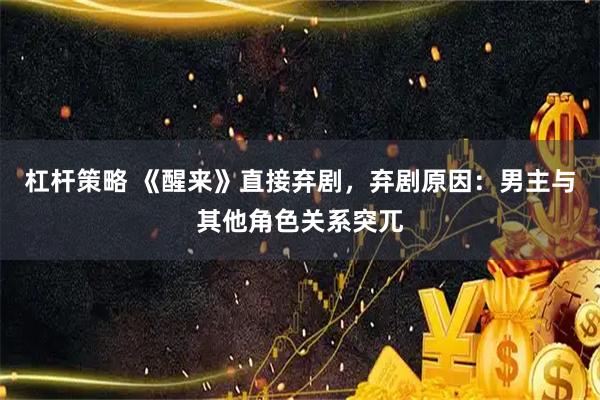 杠杆策略 《醒来》直接弃剧，弃剧原因：男主与其他角色关系突兀